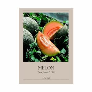 Melon – Best Jumbo EKO