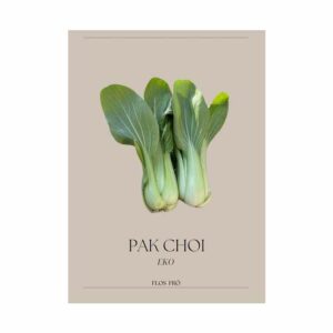 Pak Choi – EKO