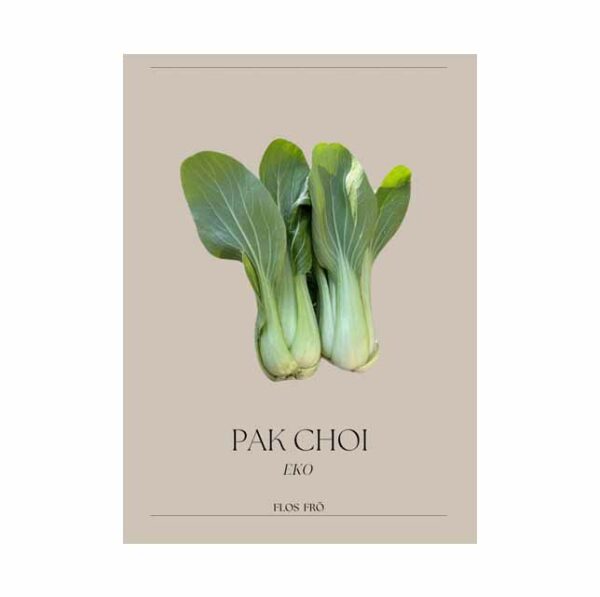 Pak Choi - EKO