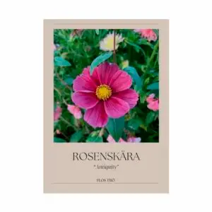 Rosenskära - Antiquity