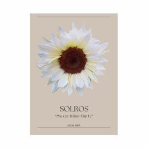 Solros – F1 “Pro Cut White Nite”