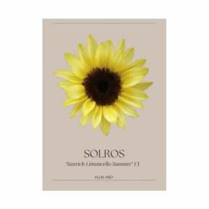 Solros – F1 “Sunrich Limoncello Summer”