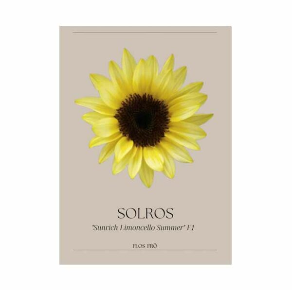 Solros - F1 "Sunrich Limoncello Summer"