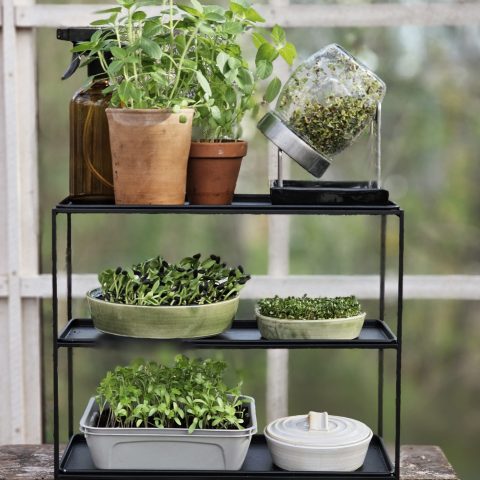 20230425_172155 kopiera