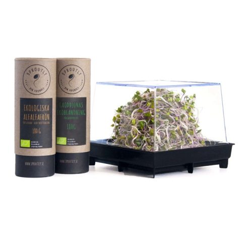 Groddbox med två frötuber