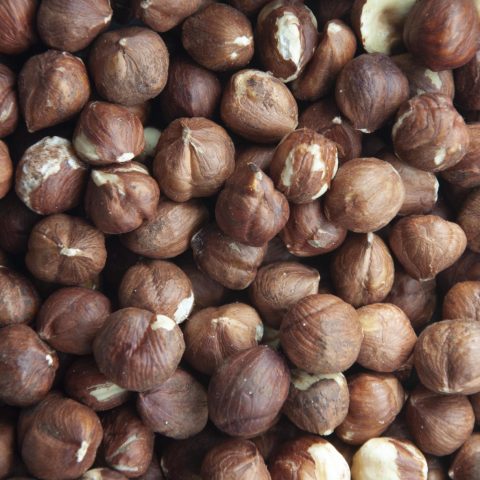 Hasselnötter