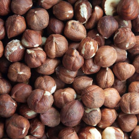 Hasselnötter