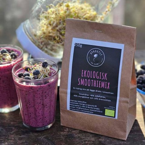Hemsidan Smoothiemix