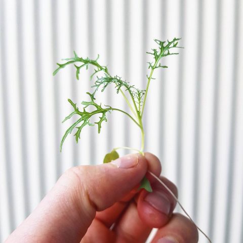 IMG_20210105_100411_767