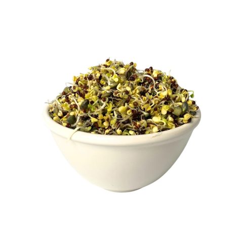 Instagram - veckoplanering