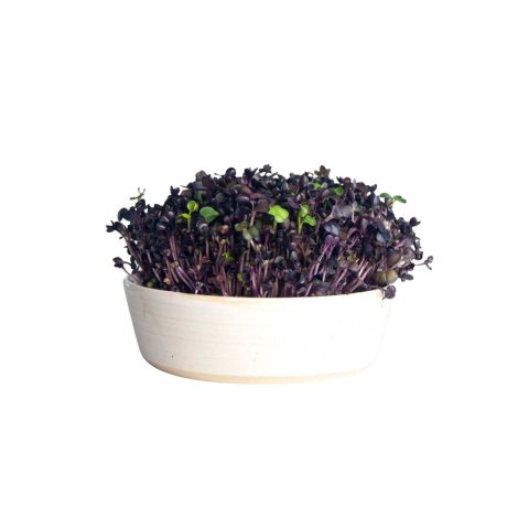 Keramikfat vit bakrund