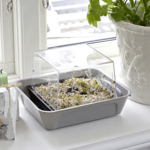 Skärmavbild 2023-02-09 kl. 18.35.13