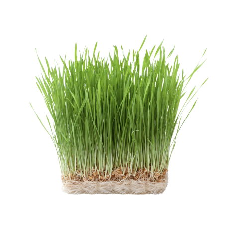 Skärmavbild 2023-02-23 kl. 08.49.53