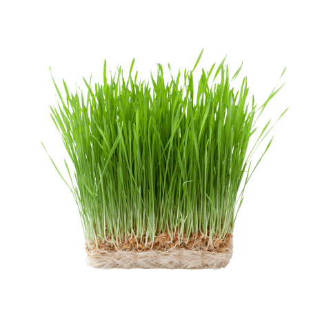 Skärmavbild 2023-02-23 kl. 08.49.53