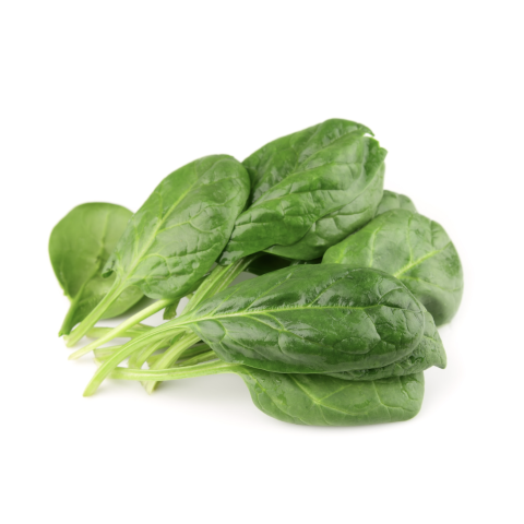 Skärmavbild 2023-02-23 kl. 08.54.15