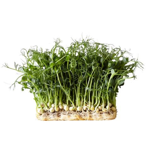 Skärmavbild 2023-02-23 kl. 09.05.55