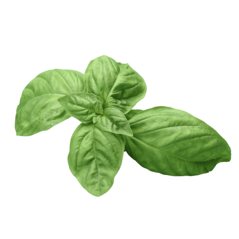 Skärmavbild 2023-02-23 kl. 09.18.23