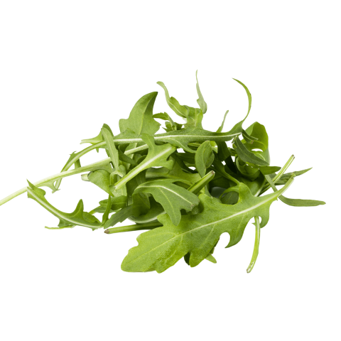 Skärmavbild 2023-02-23 kl. 09.27.45