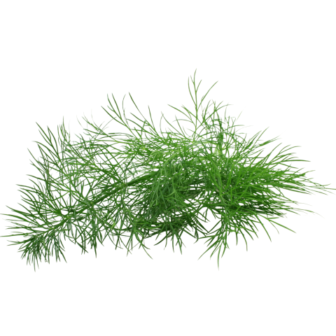 Skärmavbild 2023-02-23 kl. 09.31.58