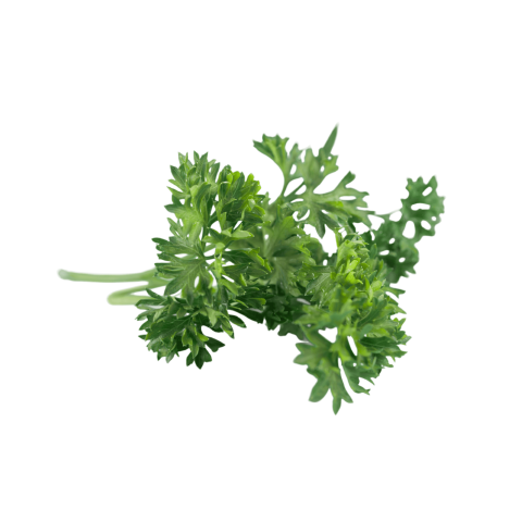 Skärmavbild 2023-02-27 kl. 18.21.22