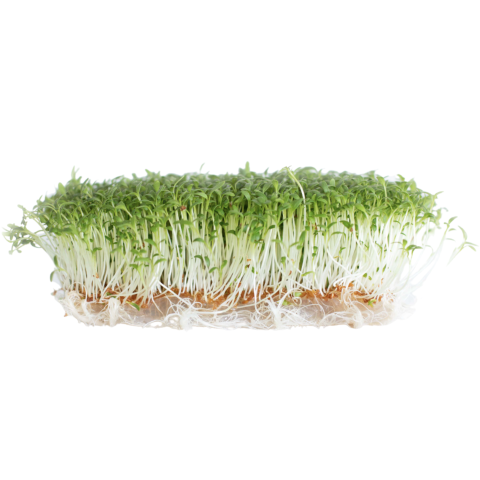 Skärmavbild 2023-03-06 kl. 14.23.19