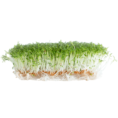 Skärmavbild 2023-03-06 kl. 14.23.19