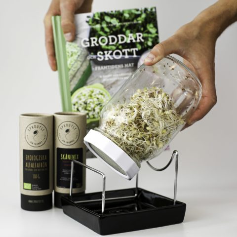 Startkit Swedelux Groddjonas