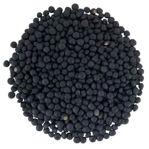 Svarta Belugalinser bild