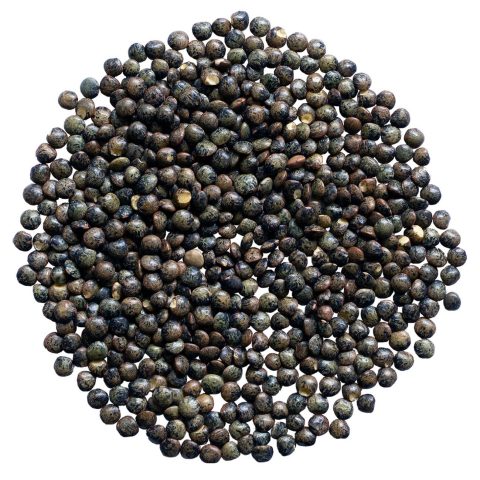 gröna linser anicia bild