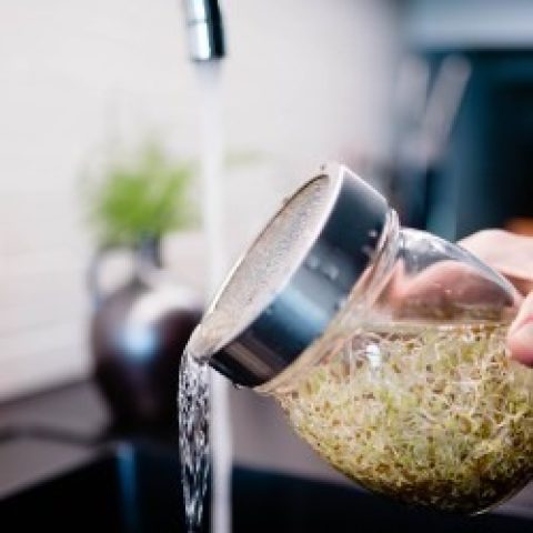 img0367-luicoj-cwlk5o