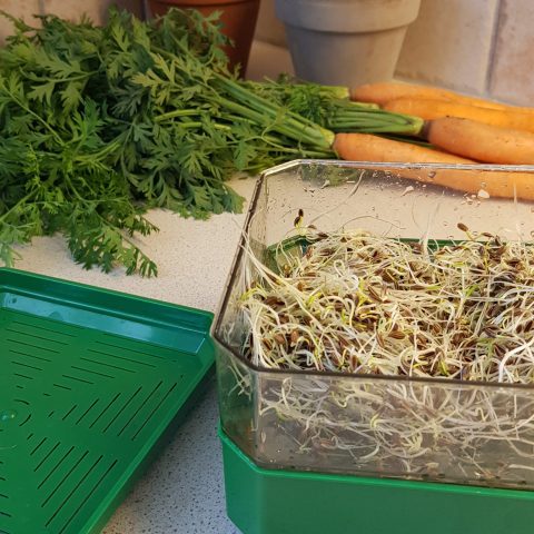 stapelbar grön hem