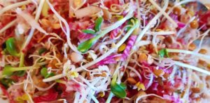 Syrlig groddsallad med äpple