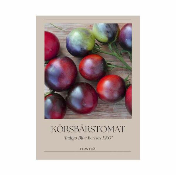 Körsbärstomat - Indigo Blue Berries EKO