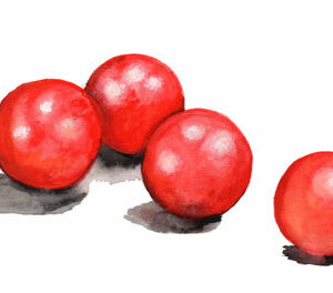 Körsbärstomat-Rosy Finch